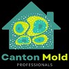 Mold Removal Canton Experts
